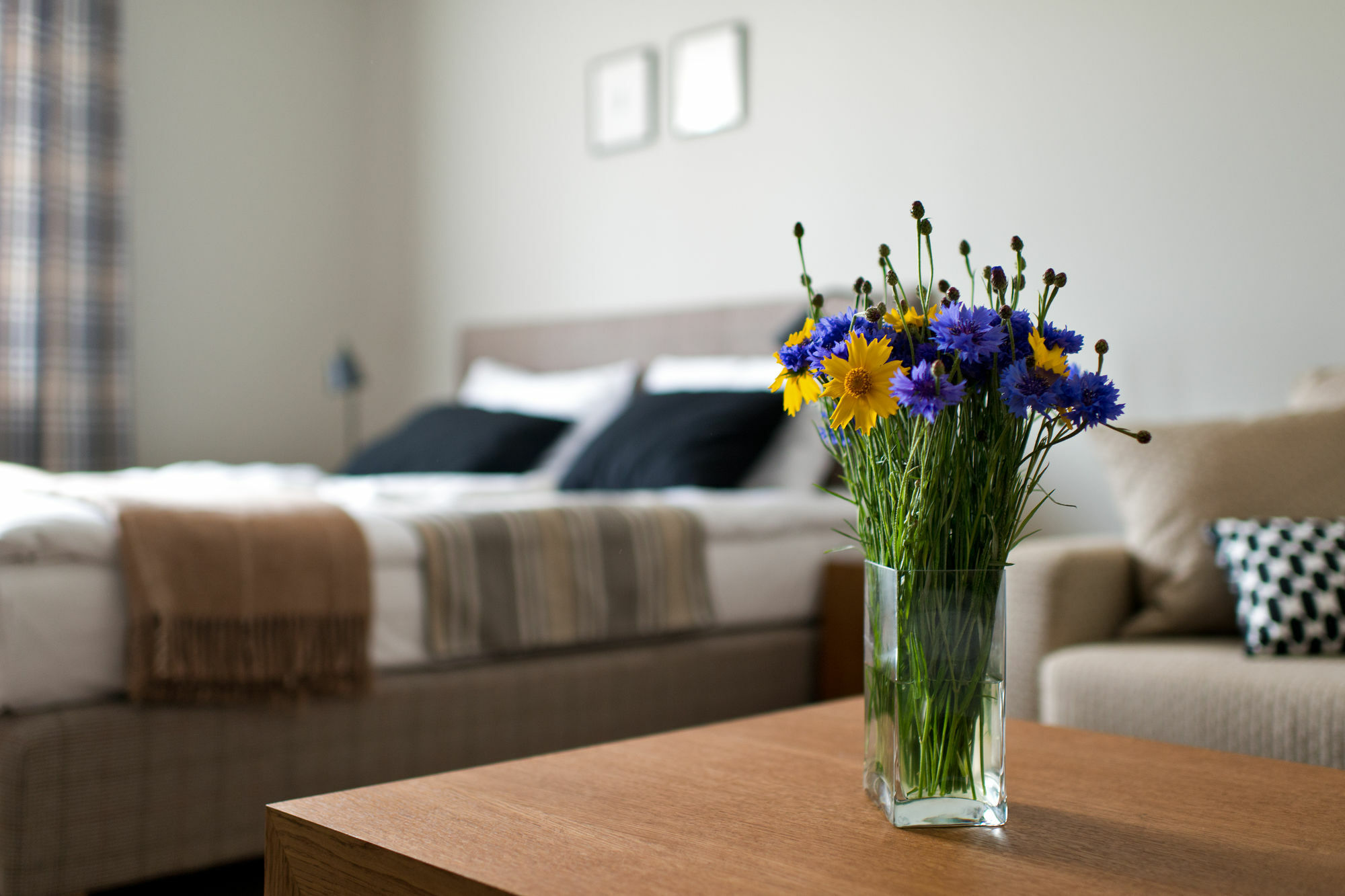 Palanga Visit Apartments And Spa Екстериор снимка